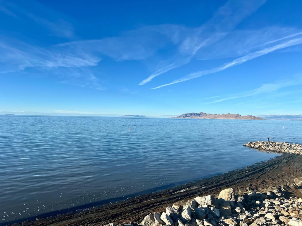 The turkey was found at Silver Sands Beach in Utah.