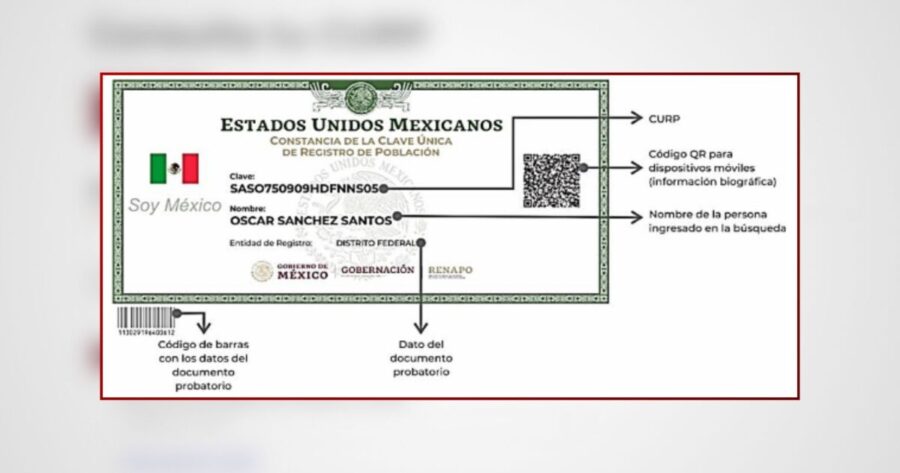 Descubre cómo consultar, descargar e imprimir tu CURP con facilidad